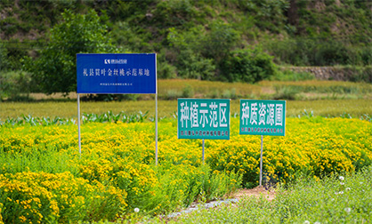 2121非凡·(中国游)体育官方网站