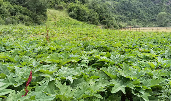 2121非凡·(中国游)体育官方网站