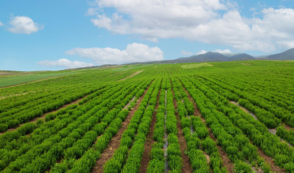 2121非凡·(中国游)体育官方网站