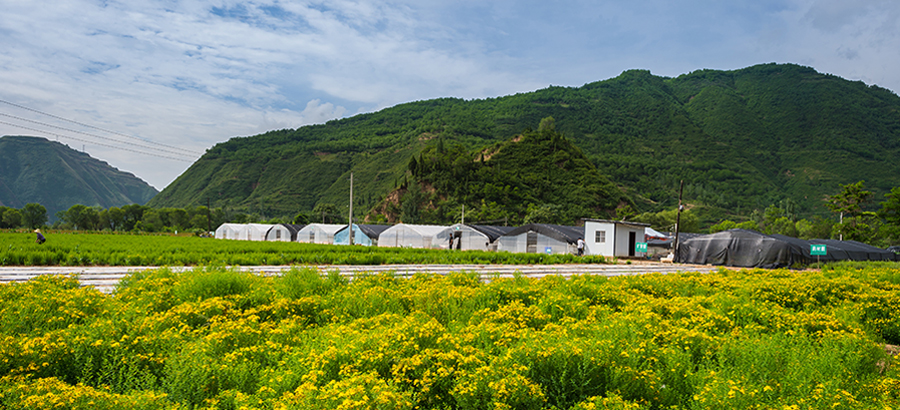 2121非凡·(中国游)体育官方网站