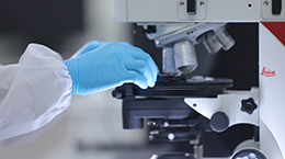 2121非凡·(中国游)体育官方网站