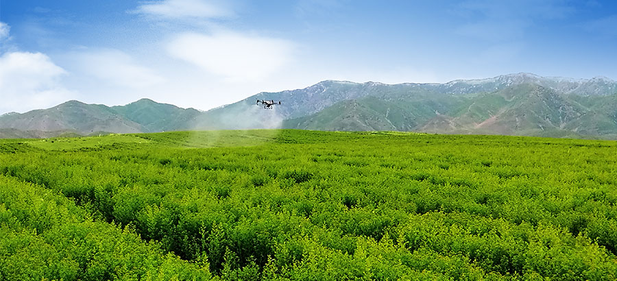 2121非凡·(中国游)体育官方网站